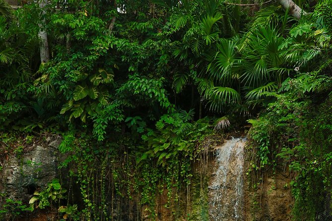 Tulum Essence Art and Photography Tour - Stop 1: Escultura Ven A La Luz for a clean, camera-ready start