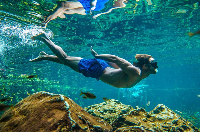 Tulum Ruinas and Tortugas Express - Should you book Tulum Ruinas and Tortugas Express?