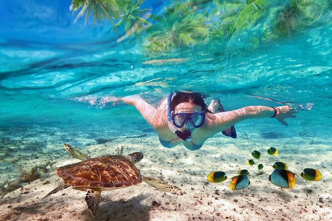 Tulum Ruins and Turtles Express - Key things to know before you go