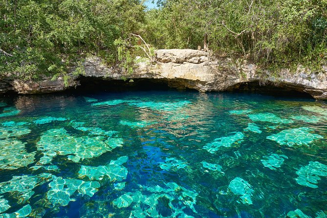 Tulum Ruins + Cenote Express - The Timing Truth About an Express Tour