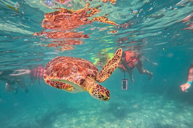 Tulum Ruins, Sea Turtles & Cenote Swim Adventure Tour - Key Things That Matter Most on This Tour