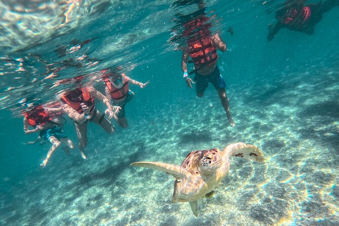 Tulum Ruins, Sea Turtles & Cenote Swim Adventure Tour - The Big Picture: Three Stops That Fit Into One Long Day
