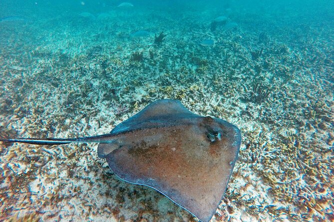 Tulum Ruins, Snorkeling with Turtles and Underground Caves - Gear, safety rules, and what you should pack