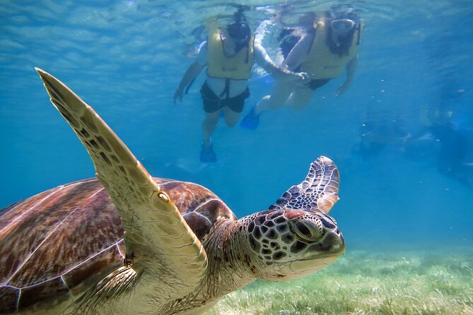 Tulum Ruins, Turtle Sighting and Underground Caves - Key things that make this tour worth your time