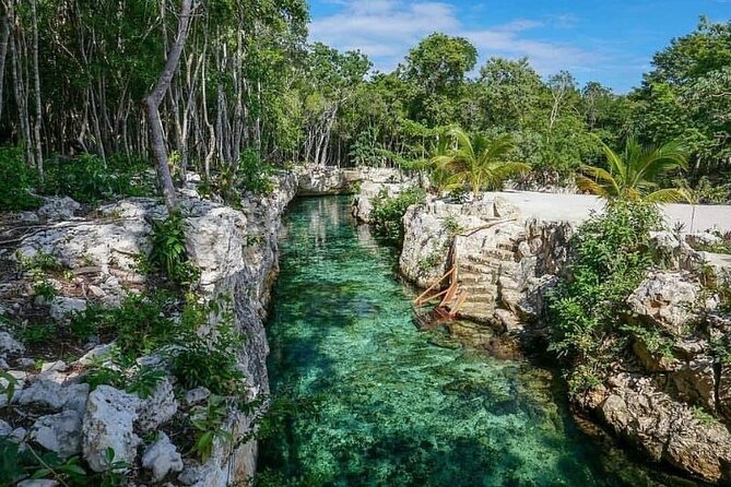 Tulum Ruins visit cenotes house turtle and Sculpture Come to Light - Price and value: is $99 worth it for this itinerary?