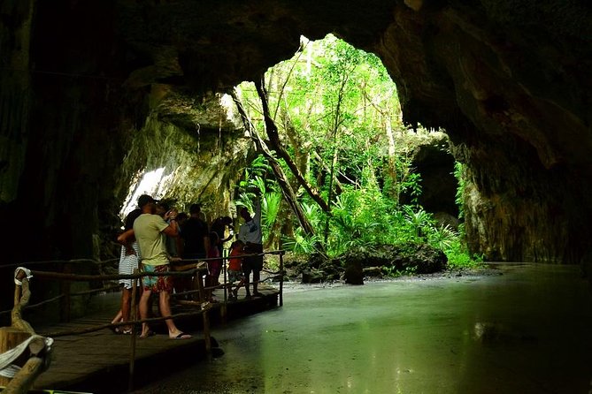Turtles and Cenote from Riviera Maya - Who This Trip Fits Best: Families, Teens, and First-Timers