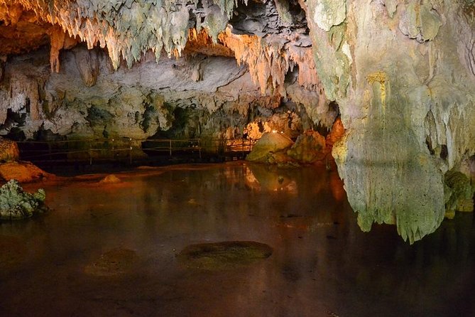 Turtles and Cenote from Riviera Maya - Should You Book Turtles and Cenote From Riviera Maya?