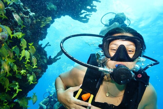 Two Dives and Class for Begginers Divers in Cancun - Key highlights that matter