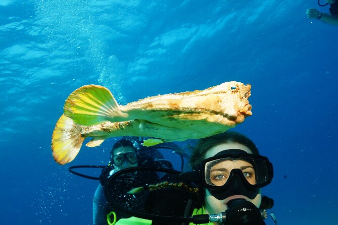 Two Dives and Class for Begginers Divers in Cancun - Why This Cancun Beginner Scuba Day Feels Manageable