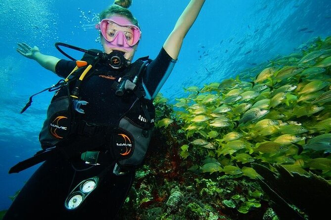 Two Dives and Class for Begginers Divers in Cancun - Tank Session 1 at MUSA: Underwater Art and Marine Life