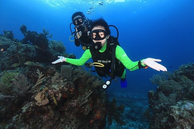 Two Dives and Class for Begginers Divers in Cancun - Tank Session 2 at Manchones Reef: Colorful Coral and Movement