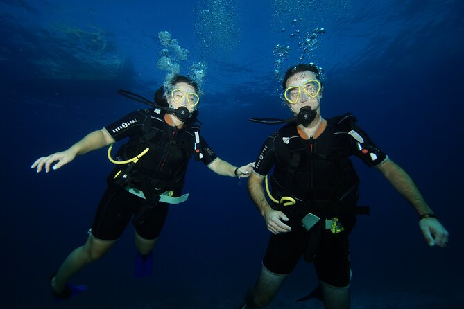 Two Reefs For Certified Divers in Cancun - Gear Is Included, Which Saves You Money and Hassle