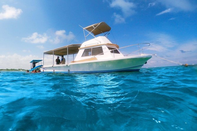 Ultimate 5x1 Combo with ATV, Ziplines, Cenote & Reef Snorkeling - Snorkeling Puerto Morelos Reef: the main reason this tour works