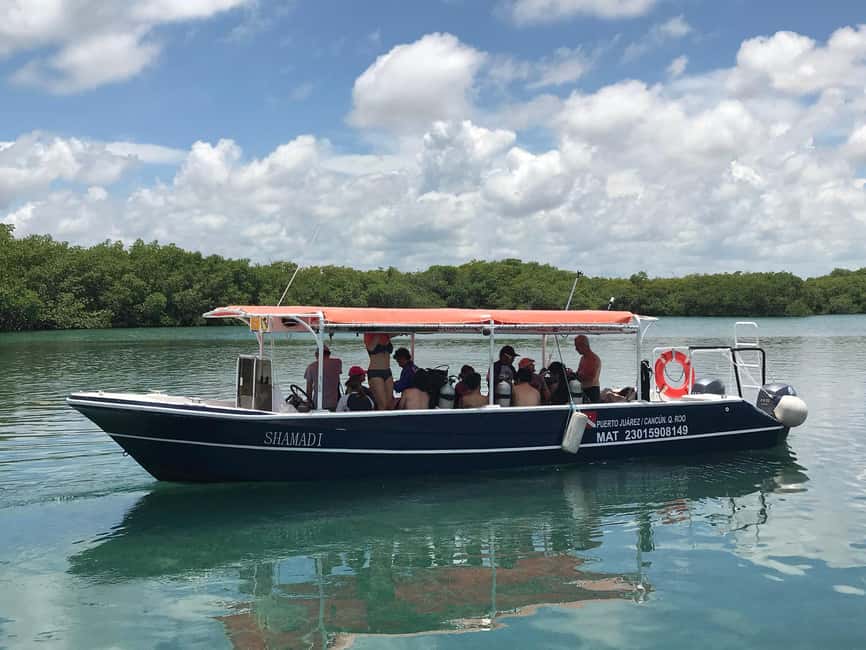 Underwater Museum Musa : SCUBA DIVING FOR BEGINNERS - Two underwater stops: MUSA museum time plus a reef option