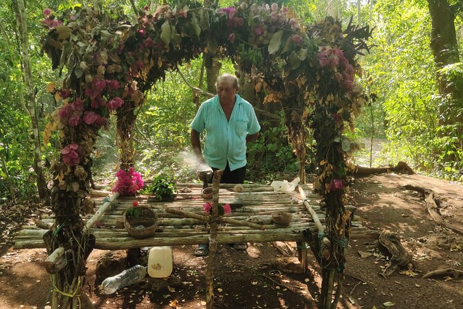 Unforgettable Journey: Coba, Monkey Reserve, and Mayan Cenote - Who this tour suits best in real life