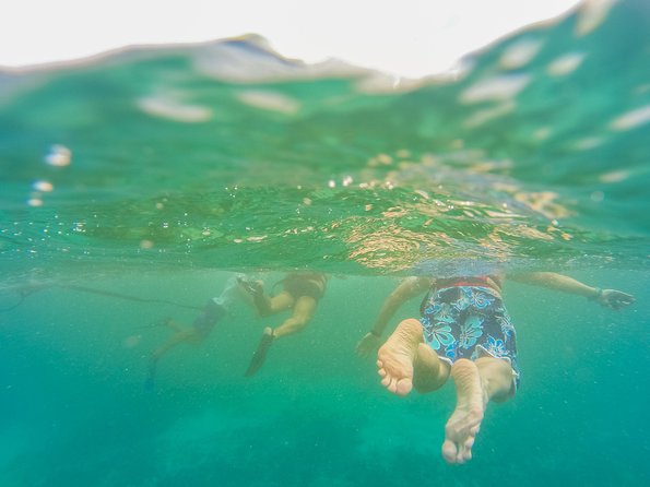 Viator Exclusive: Tulum Ruins, Reef Snorkeling, Cenote and Caves - Snorkeling at the reef near Playa Maya: what you actually get in an hour