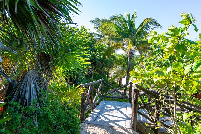 Viator Exclusive: Tulum Ruins, Reef Snorkeling, Cenote and Caves - Cenote caves: cool water, stalactites, and the darkness factor