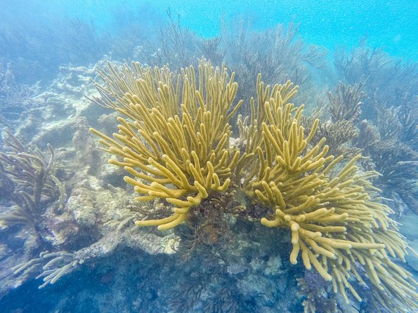 Viator Exclusive: Tulum Ruins, Reef Snorkeling, Cenote and Caves - Photos, upselling, and how to keep it friendly and under control