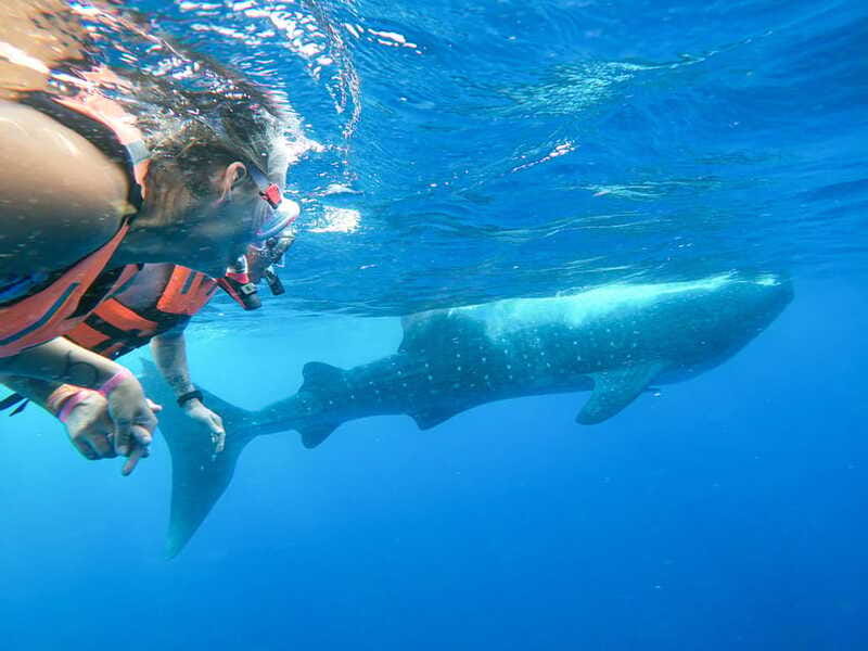 Whale Shark Adventure from Isla Mujeres - Food and drinks: what you get onboard, and what to plan for