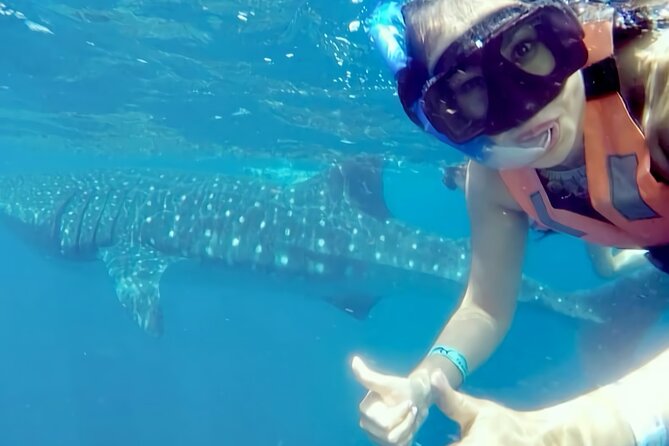 Whale Shark Adventure in Isla Mujeres and Cancun - What you might see besides whale sharks (and why it still feels like a full day)