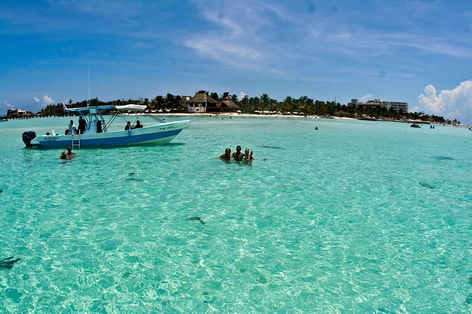 Whale Shark Tour from Cancun, Playa del Carmen, Tulum and Riviera Maya - Guides Like Vanessa, Margot, Pia, and Diego Make or Break the Day