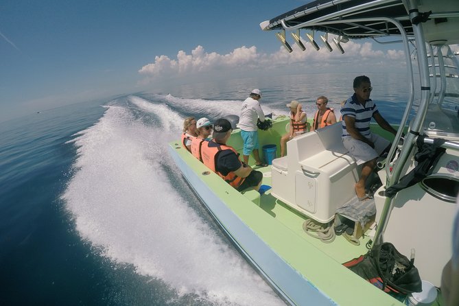 Whale Shark Tour from Cancun, Playa del Carmen, Tulum and Riviera Maya - Who Should Book, and Who Might Want a Different Whale Shark Plan