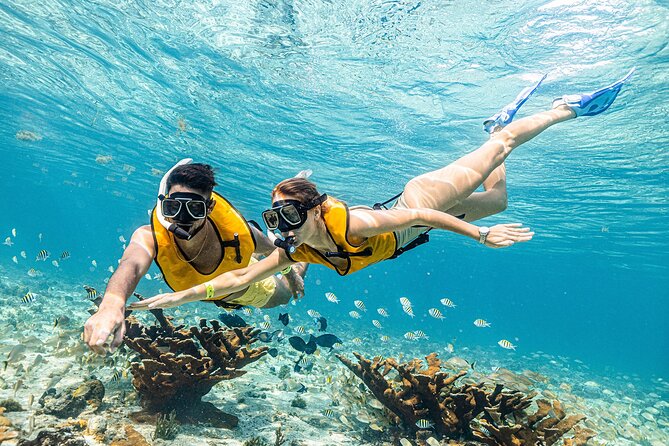 With Turtles, Shipwreck, Cenote, and Reef and Transport Included - Shipwreck and Underwater Museum Stops: Why the Man-Made Sights Are So Fun