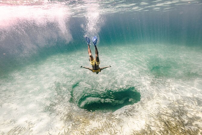 With Turtles, Shipwreck, Cenote, and Reef and Transport Included - Cenote Time and the Turtle Hunt: What You Can Realistically Expect