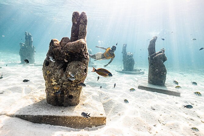 With Turtles, Shipwreck, Cenote, and Reef and Transport Included - Boat Rhythm, Time in Water, and Why the Day Still Feels Short