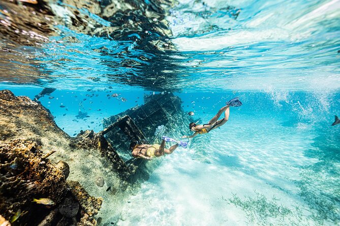 With Turtles, Shipwreck, Cenote, and Reef and Transport Included - Photos, GoPro Footage, and the Costs You Should Plan For