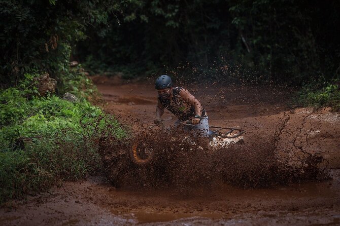 Wonderful Jungle Experience with Horse Riding, ATV, Ziplines and Cenote - Jungle horseback riding: what you’ll likely notice first (and what to bring)
