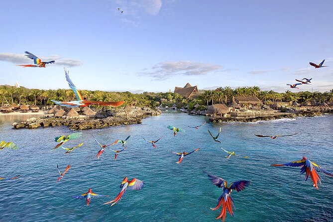Xcaret Park Day Tour & Night Show with Transportation - Underground rivers and snorkeling gear: what the included items mean