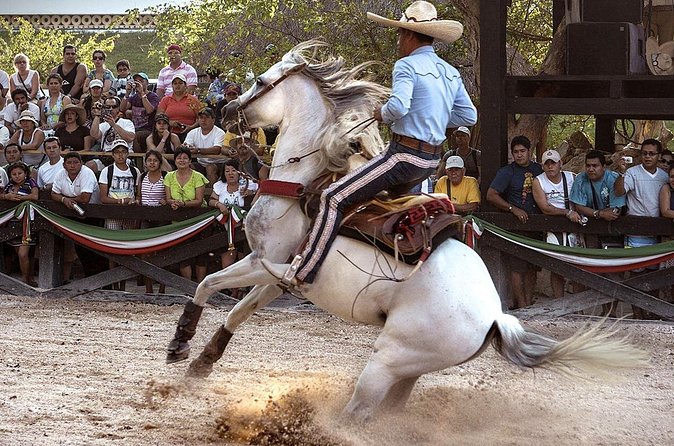 Xcaret Park Day Tour & Night Show with Transportation - Transportation and timing: the real make-or-break