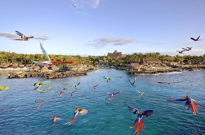 Xcaret Park Day Tour & Night Show with Transportation - Tips to make your day smoother