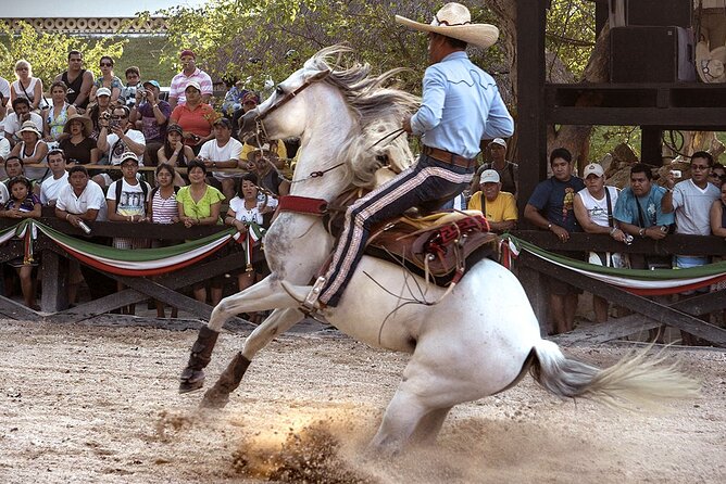 Xcaret Park Day Tour & Night Show with Transportation - Mayan ruins and wildlife: good to know how to pace it