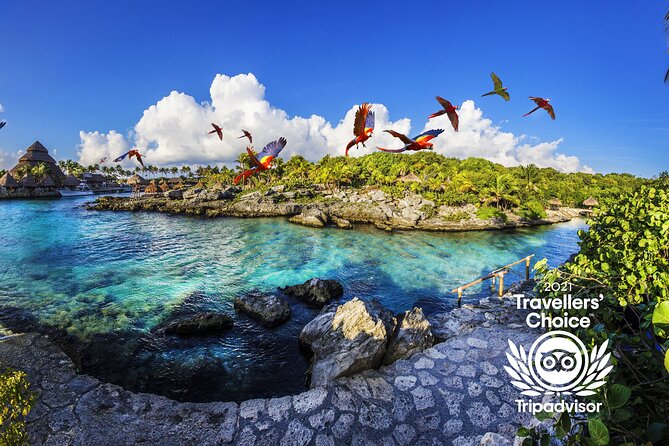Xcaret Park Day Trip, transportation and Cultural Night Show - Beaches, snorkeling, and how Xcaret Plus changes the comfort level