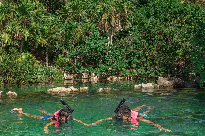 Xcaret Park Entry Tickets with Cultural Night Show Included - Food and drinks: buffet lunch basics, and where costs can sneak in