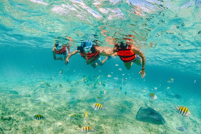 Xcaret Park Entry Tickets with Cultural Night Show Included - Comfort checklist: what to pack so you can actually enjoy the day