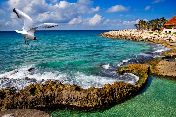 Xcaret Park Plus Tour! Nature, Culture and Nightshow from Cancun - Xcaret México Espectacular at night: the cultural payoff you’re booking for