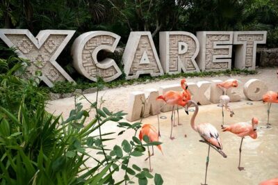 Xcaret Plus Full Day Tour