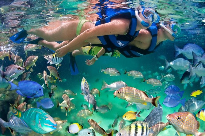 Xel ha All Inclusive - Key Points at a Glance