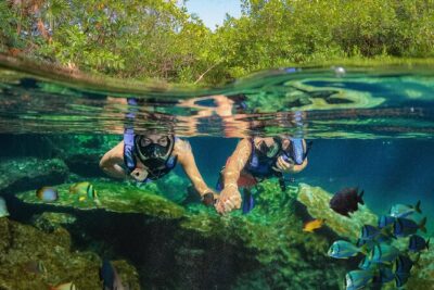 Xel-Ha Park Admission Tickets