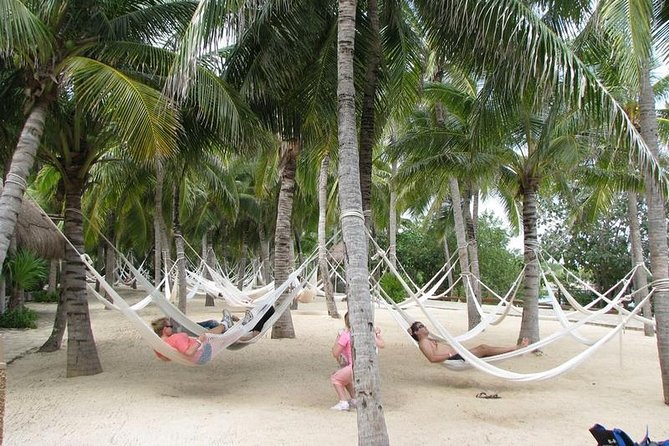 Xel ha Park Tour All inclusive! Nature & Fun from Cancun & Playa Del Carmen - Entering Xel-Ha from Cancun or Playa del Carmen: how the day starts