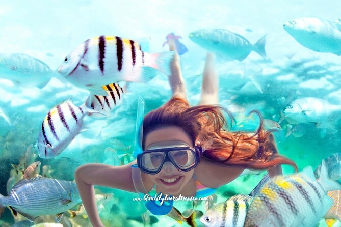 Xelha water park with transportation - Food, open bar, and staying comfortable in heat