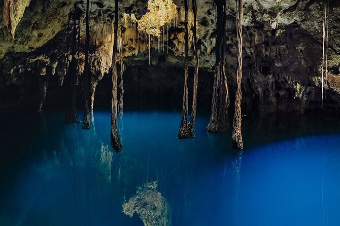 Xenotes - lik: Another Cenote for Jumps, With a Different Feel